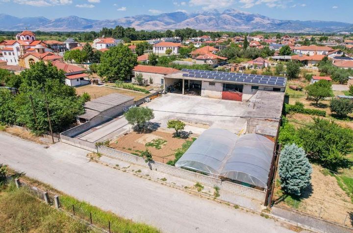 Depozit 386 mp pe teren 1.272 mp în Koudounia anunturi imobiliare Grecia
