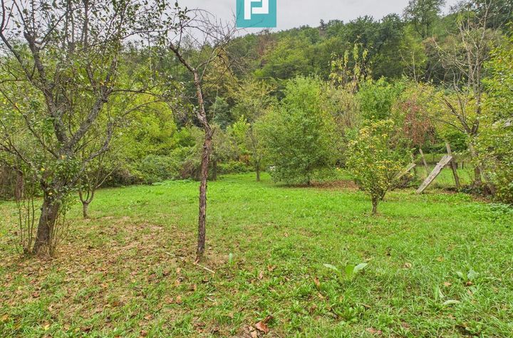 Teren de 1440mp în Lipova pentru o casă de vacanță anunturi imobiliare Arad