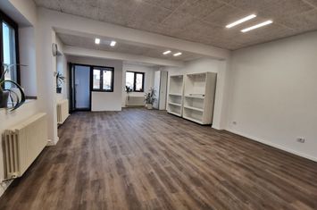 Spatii Pentru Firme in Vila Renovata anunturi imobiliare Bucuresti