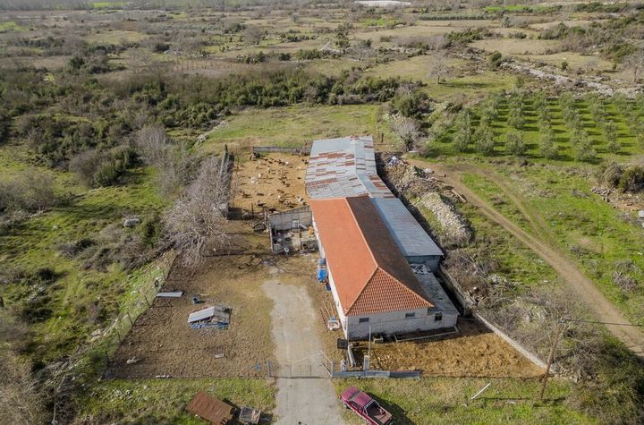 Teren 3697 mp cu depozit 240 mp în Moustheni anunturi imobiliare Grecia
