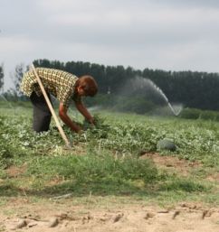 Hectarul de teren agricol ar putea ajunge la 10.000 de euro