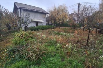 Vilă - 3 camere de vanzare VALEA LUPULUI - Iasi anunturi imobiliare Iasi