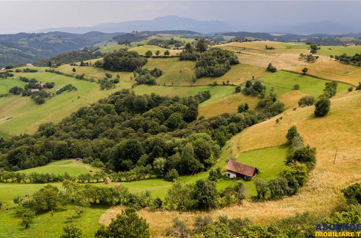 Teren Intravilan de vanzare EXTERIOR EST - Brasov anunturi imobiliare Brasov