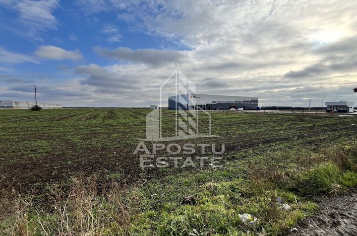 Teren de vanzare 30.400 mp, langa Continental si Hamilton. anunturi imobiliare Timis