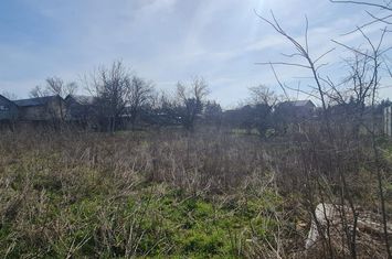 Grigorescu - Pallady  - Catelu  vanzare teren  10 minute metrou zona Vile anunturi imobiliare Bucuresti