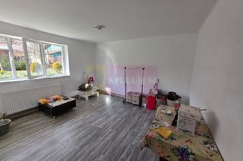 Apartament de vanzare cu 2 camere in Azuga anunturi imobiliare Prahova