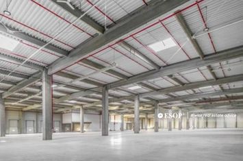 Spațiu industrial de inchiriat CHITILA - Bucuresti anunturi imobiliare Bucuresti