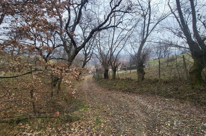 Teren de vanzare SALISTE - Sibiu anunturi imobiliare Sibiu