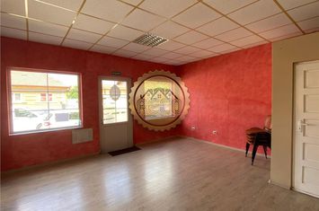 Spațiu comercial de inchiriat CANTEMIR - Bihor anunturi imobiliare Bihor