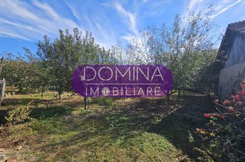 Teren de vanzare BALESTI - Gorj anunturi imobiliare Gorj