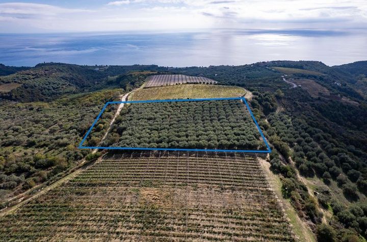Teren 11.188 mp în Paralia Folias, la 1 km de mare anunturi imobiliare Grecia