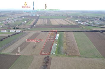 Teren Extravilan de vanzare ODOREU - Satu Mare anunturi imobiliare Satu Mare