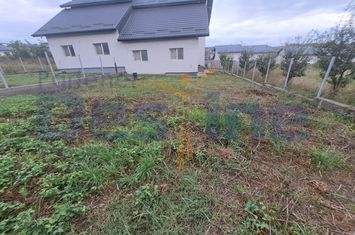 Vilă - 5 camere de vanzare IASI - Iasi anunturi imobiliare Iasi