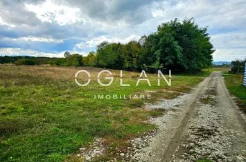 Teren de vanzare AVRIG - Sibiu anunturi imobiliare Sibiu