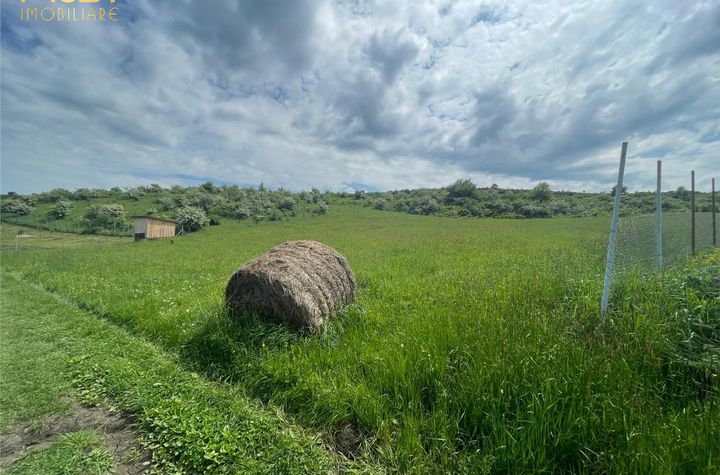 Teren Intravilan de vanzare EXTERIOR NORD - Cluj anunturi imobiliare Cluj