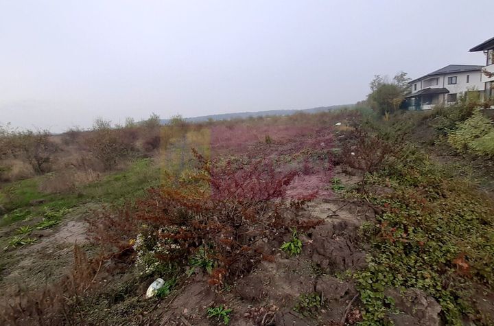 Teren Corbeanca în zona Cantonului aproape de A0 anunturi imobiliare Bucuresti