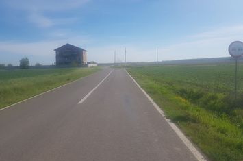 Teren intravilan arabil 55.400 m.p. Vasilati, Jud. Calarasi anunturi imobiliare Calarasi