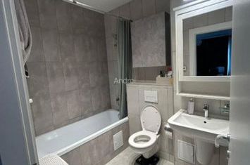 Apartament 2 camere de vanzare LIPOVEI - Timis anunturi imobiliare Timis