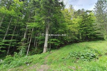 Teren de vânzare Sinaia anunturi imobiliare Prahova