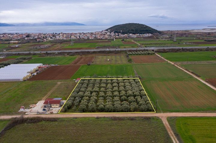 Teren construibil 5232 mp în Nea Karvali anunturi imobiliare Grecia