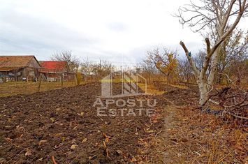 Teren 1000mp Cu Utilitati Dudesti Noi anunturi imobiliare Timis