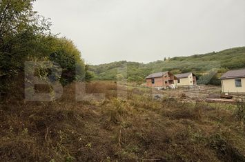 Teren de vanzare TARGOVISTE - Dambovita anunturi imobiliare Dambovita