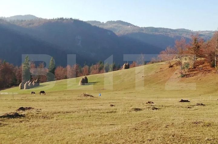 Teren de vanzare SCARISOARA - Alba anunturi imobiliare Alba
