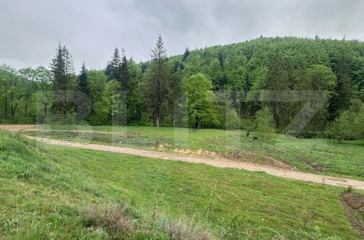 Teren de vanzare MARGINEA - Suceava anunturi imobiliare Suceava