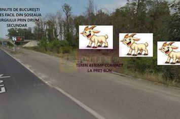 Teren la Joncțiunea dintre A0 și DN5 anunturi imobiliare Bucuresti