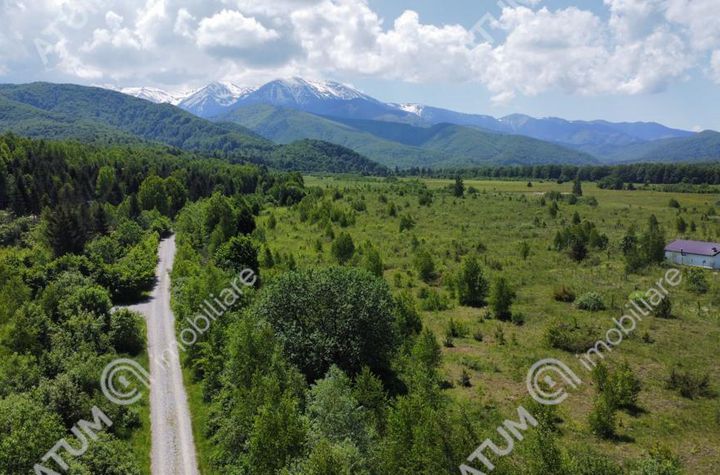 Teren Intravilan de vanzare AVRIG - Sibiu anunturi imobiliare Sibiu