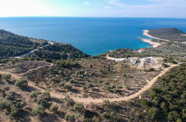Teren construibil 6950 mp în Skala Marion, Thassos anunturi imobiliare Grecia