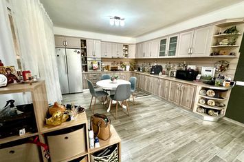 Vilă - 8 camere de vanzare ALBA IULIA - Alba anunturi imobiliare Alba