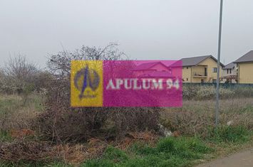 Săbăreni, teren intravilan 6078 mp, cu utilităti anunturi imobiliare Giurgiu