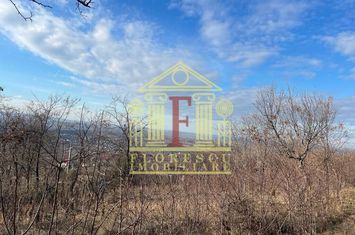 Teren Barnova  ! anunturi imobiliare Iasi