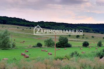 Teren intravilan 50 ari,Livezeni,iesire catre Ivanesti,28 eu/mp anunturi imobiliare Mures