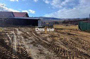 Teren de vanzare MOGOSESTI - Iasi anunturi imobiliare Iasi