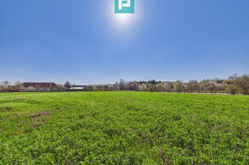 Teren intravilan 3024 mp, în comuna Almaș, Arad anunturi imobiliare Arad