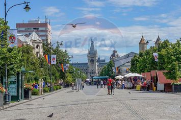 Afacere de Vânzare în HoReCa - Randament 50% pe an- ULTRACENTRAL IAȘI anunturi imobiliare Iasi