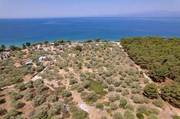 Teren 1028 mp în Skala Kallirachis, Thassos anunturi imobiliare Grecia