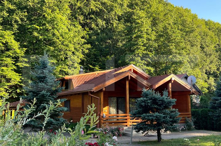 Casă - 4 camere de vanzare CAMPU CETATII - Mures anunturi imobiliare Mures