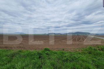 Teren de vanzare HARMAN - Brasov anunturi imobiliare Brasov
