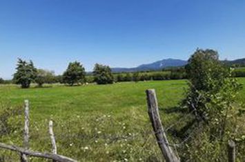Teren de vanzare BRAN - Brasov anunturi imobiliare Brasov