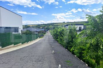 Vilă - 5 camere de vanzare BACIU - Cluj anunturi imobiliare Cluj