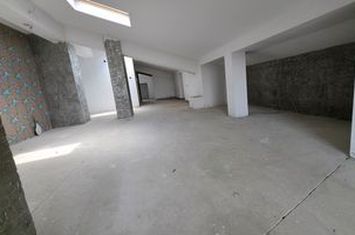 Apartament penthouse 3 camere 178 mp sector 2 Bucuresti anunturi imobiliare Bucuresti