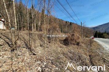 Teren Intravilan de vanzare SINAIA - Prahova anunturi imobiliare Prahova