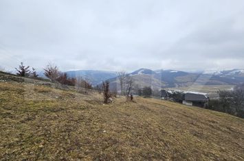 Teren de vanzare DAROAIA - Alba anunturi imobiliare Alba