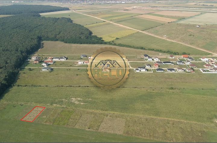 Teren Extravilan de vanzare EXTERIOR VEST - Bihor anunturi imobiliare Bihor
