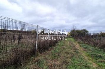 Teren de vanzare IEZURENI - Gorj anunturi imobiliare Gorj
