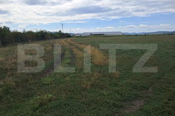 Teren de vanzare BISTRITA - Bistrita-Nasaud anunturi imobiliare Bistrita-Nasaud