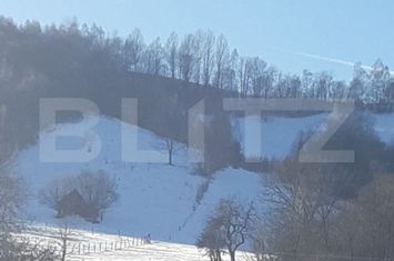 Teren de vanzare BRAN - Brasov anunturi imobiliare Brasov